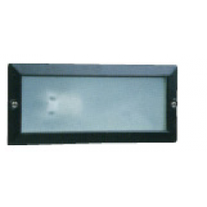 Outdoor Wall Light